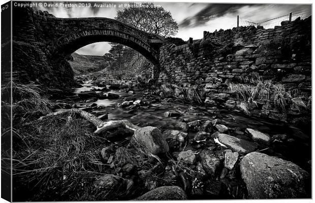 Pack Horse Bridge Canvas Print by David Preston