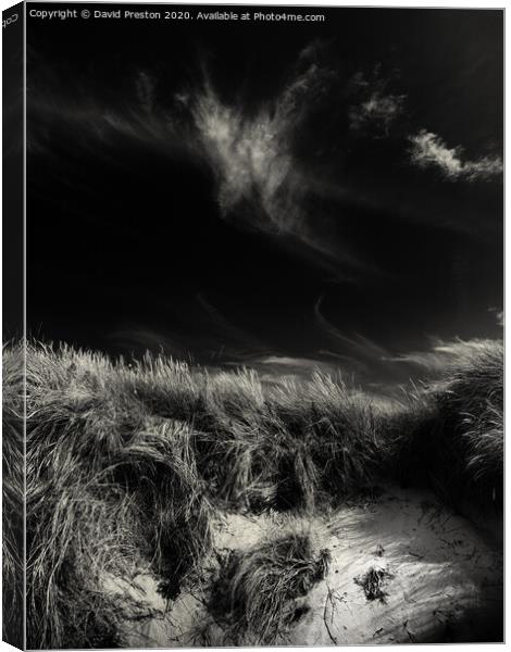 Dunes and sky Canvas Print by David Preston