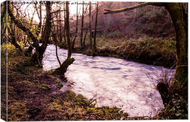 River Garw Canvas Print by Richard Parry