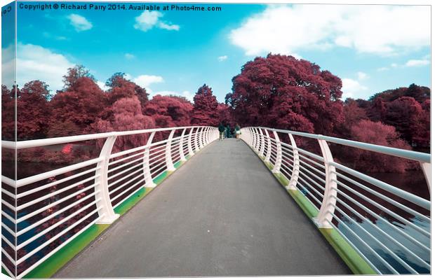  Cardiff Bridge Infra Red Canvas Print by Richard Parry