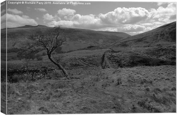  Dry Stone Wall Canvas Print by Richard Parry