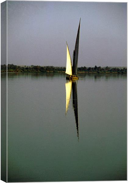 JST2412 Felucca on the Nile Canvas Print by Jim Tampin