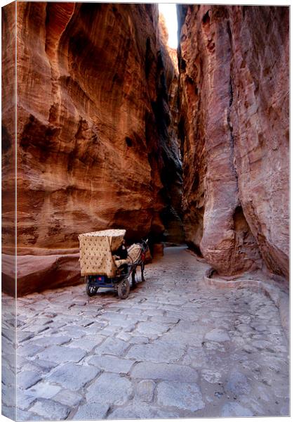 JST2022 The Natural Gorge, Petra Canvas Print by Jim Tampin