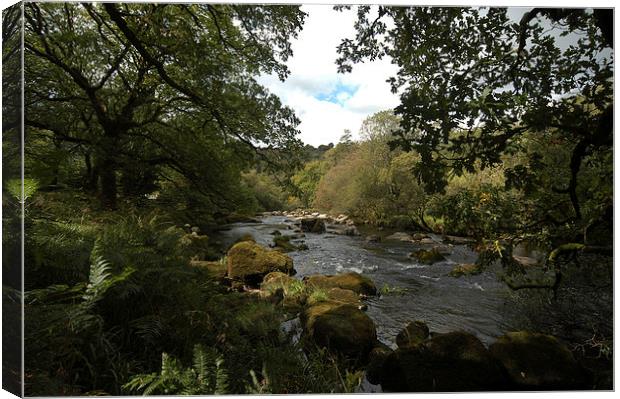 JST2624 The West Dart Canvas Print by Jim Tampin