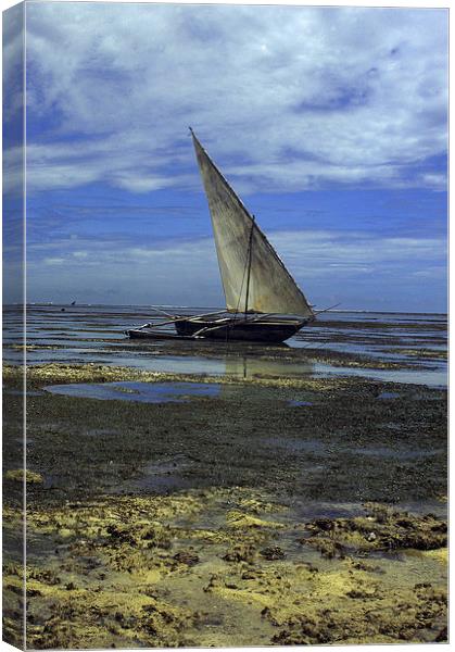 JST2669 Shanzu Beach with Dhow Canvas Print by Jim Tampin