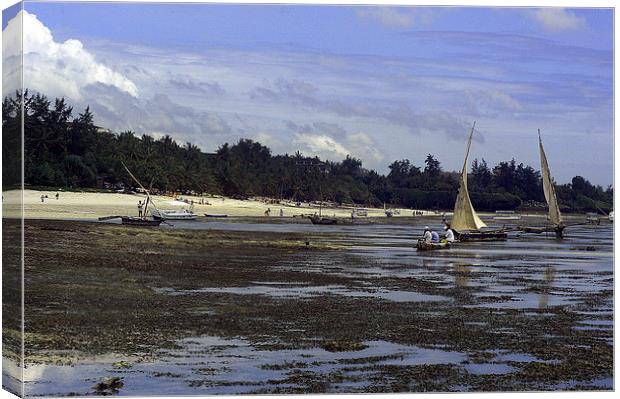 JST2666 Shanzu beach, Mombasa Canvas Print by Jim Tampin
