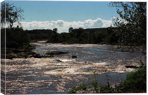 JST2662 The Mara River Canvas Print by Jim Tampin