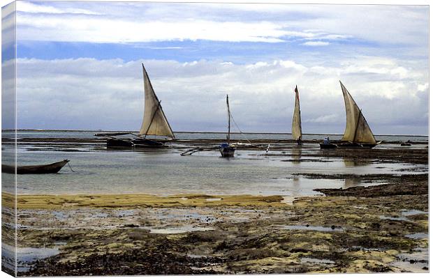 JST2753 Dhows at low tide Canvas Print by Jim Tampin