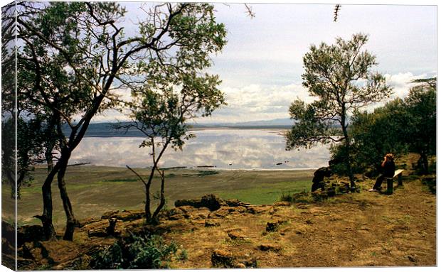 JST2805 Lake Nakuru reflections Canvas Print by Jim Tampin