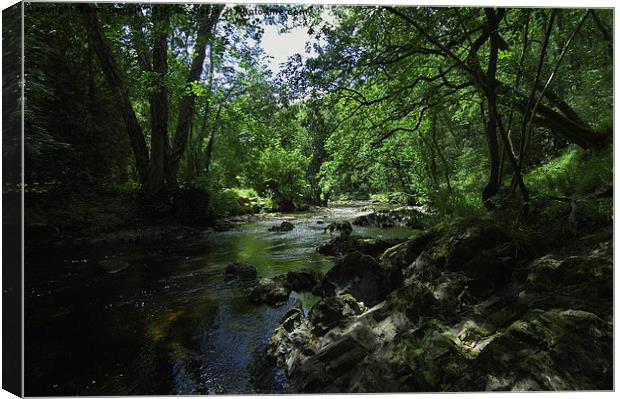 JST3066 River Teign Canvas Print by Jim Tampin