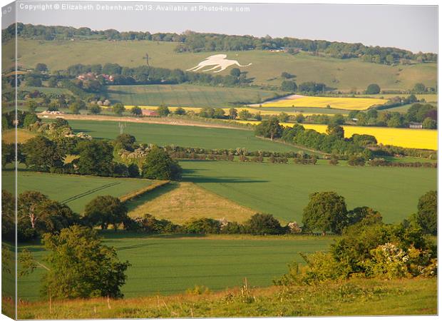 Ivinghoe View to Whipsnade Canvas Print by Elizabeth Debenham
