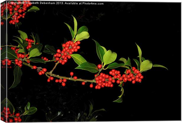 Sprig of Holly Berries on Black Canvas Print by Elizabeth Debenham