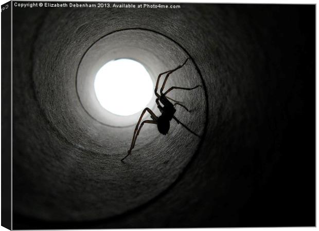 Spider in a Tunnel Canvas Print by Elizabeth Debenham