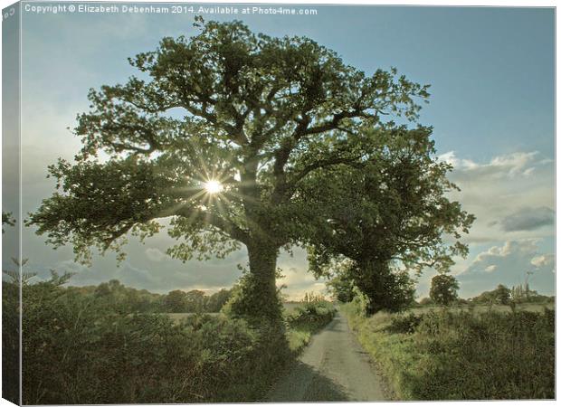 Brilliant sunburst in an Oak tree in a country lan Canvas Print by Elizabeth Debenham