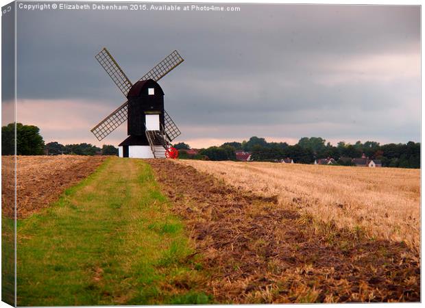 Windmill in the Chilterns  Canvas Print by Elizabeth Debenham