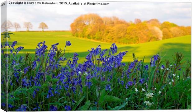  Bluebells on the verge with woodland view Canvas Print by Elizabeth Debenham