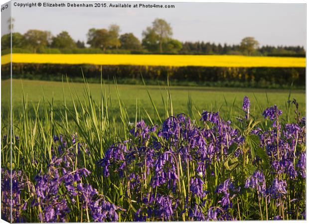 Bluebells and Yellow fields in May Canvas Print by Elizabeth Debenham