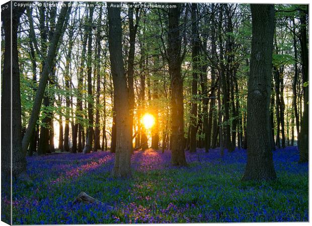  That Magic Moment in the Bluebell wood Canvas Print by Elizabeth Debenham