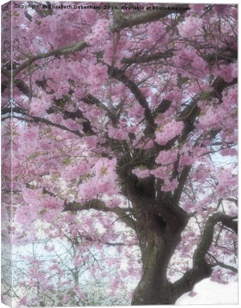 Softly focused Prunus blossom. Canvas Print by Elizabeth Debenham