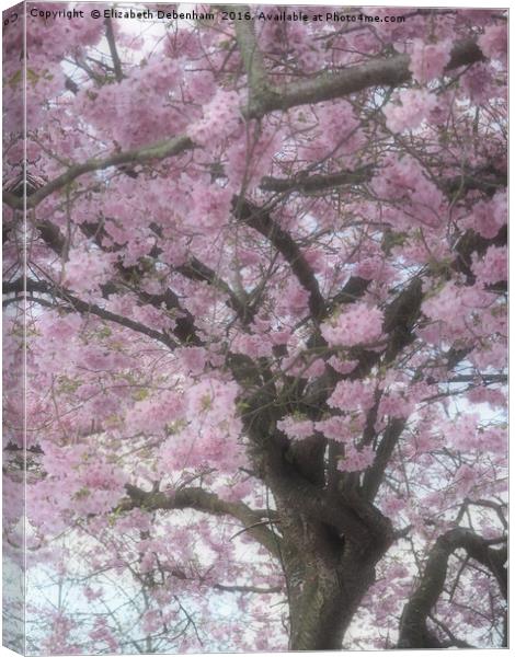 Cherry Blossom Haze Canvas Print by Elizabeth Debenham