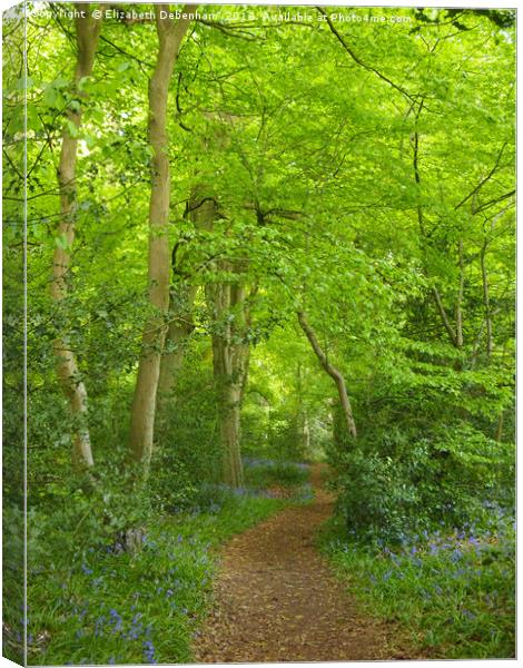 Portrait of a Leafy Glade in Spring Canvas Print by Elizabeth Debenham