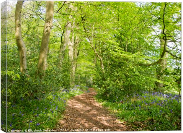 Ethereal Woodland Glade Canvas Print by Elizabeth Debenham