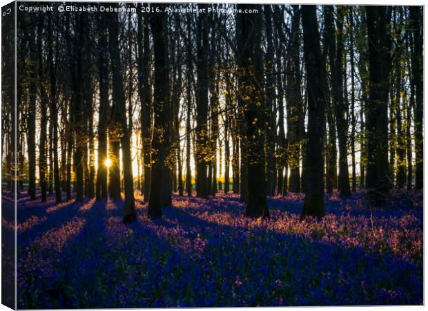 Evening in Ashridge Bluebells Canvas Print by Elizabeth Debenham