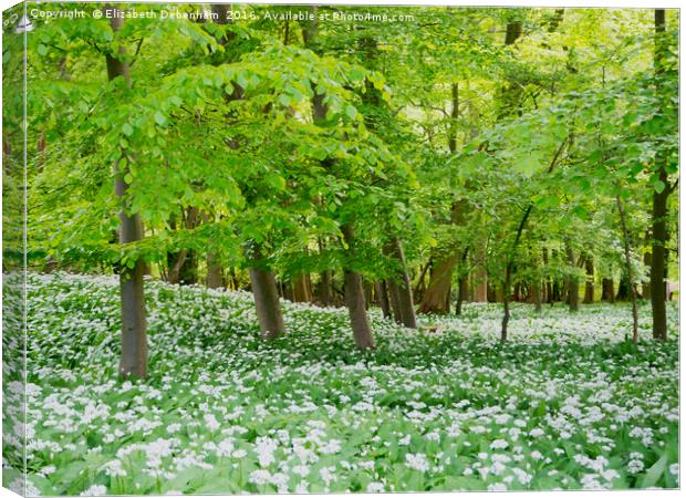 Wild Garlic Woodland Canvas Print by Elizabeth Debenham