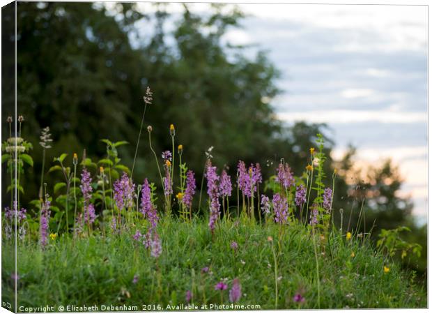 Fragrant Orchids at Dusk in the Chilterns Canvas Print by Elizabeth Debenham