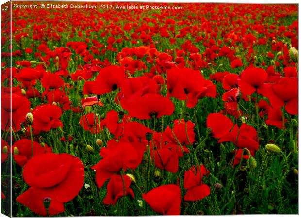 Bright Red Poppy Field Canvas Print by Elizabeth Debenham