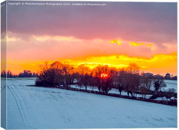 Fire and Ice; Sunset in the snow. Canvas Print by Elizabeth Debenham