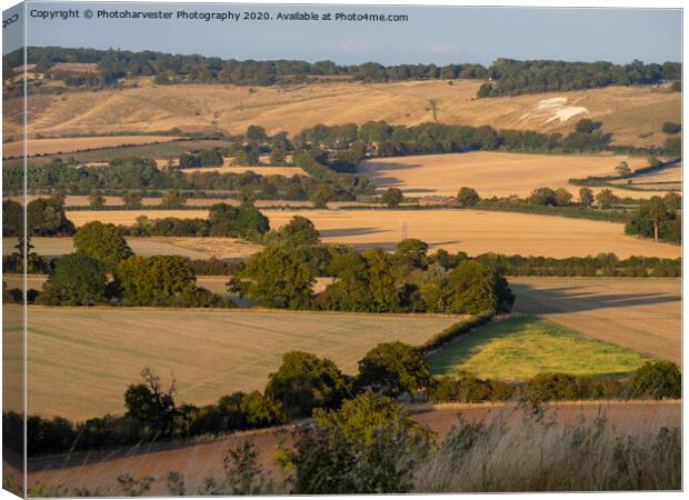 Ivinghoe view towards The Lion at Whipsnade in the Canvas Print by Elizabeth Debenham