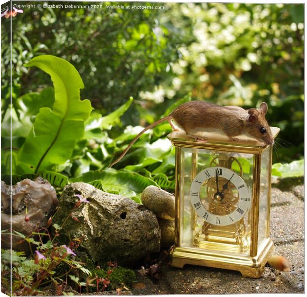 Wild woodmouse on a Clock. Canvas Print by Elizabeth Debenham