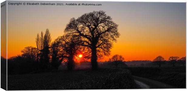 Winter Sunset through Oak Trees Canvas Print by Elizabeth Debenham