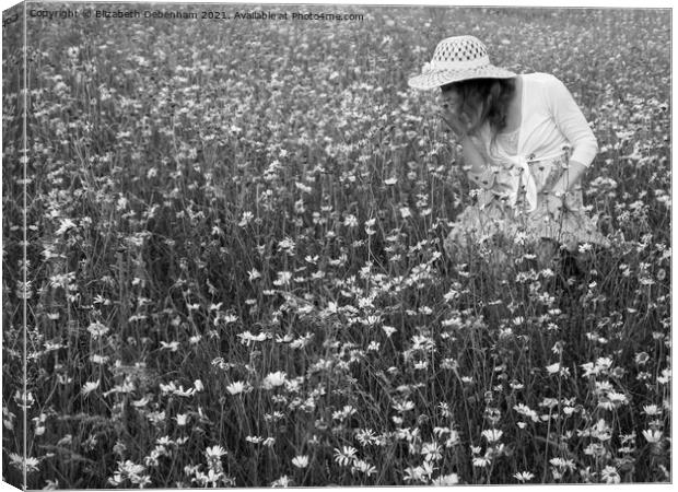 Young woman in a straw hat among daisies Canvas Print by Elizabeth Debenham