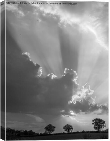 The Heavens Above (Black and white version) Canvas Print by Elizabeth Debenham