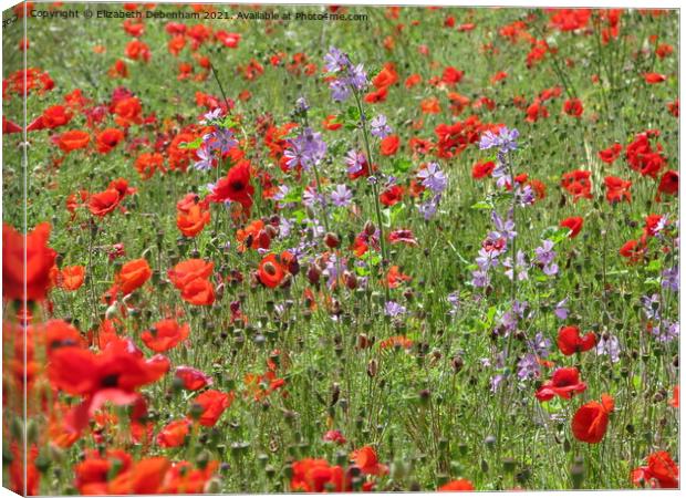 Poppies and Purple Mallow Canvas Print by Elizabeth Debenham