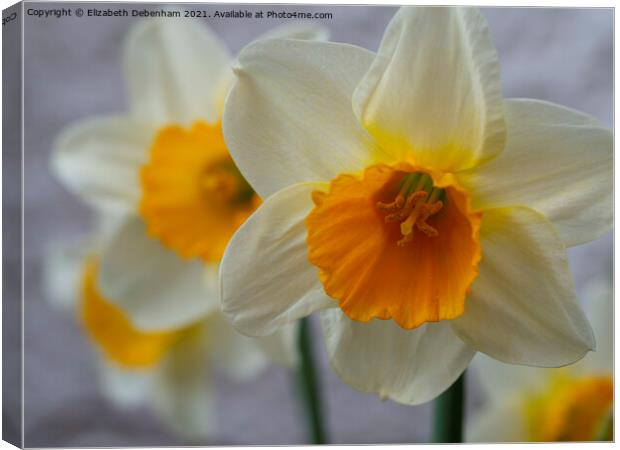 Daffodils; Siempre Avanti Canvas Print by Elizabeth Debenham