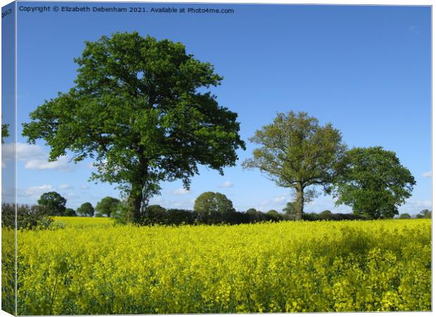 Oak Trees by a Canola Field Canvas Print by Elizabeth Debenham