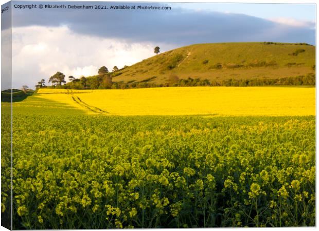 Ivinghoe Beacon rising from yellow rapeseed Canvas Print by Elizabeth Debenham