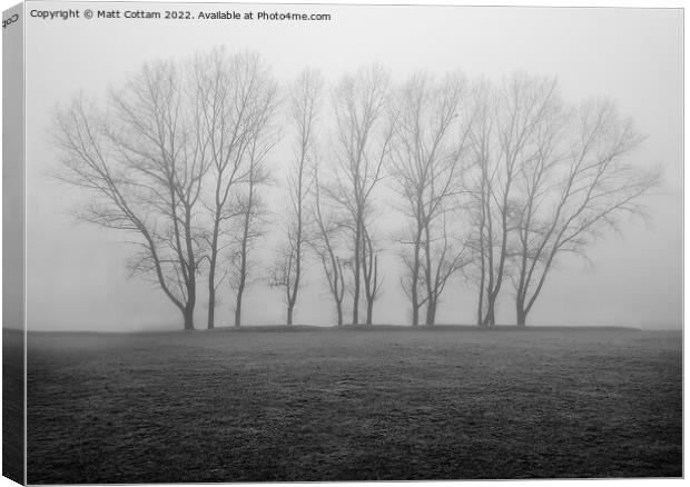 Trees in the mist Canvas Print by Matt Cottam