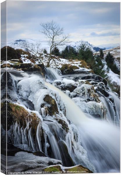 Endrick Falls Loup of Fintry Scotland Canvas Print by Chris Warren