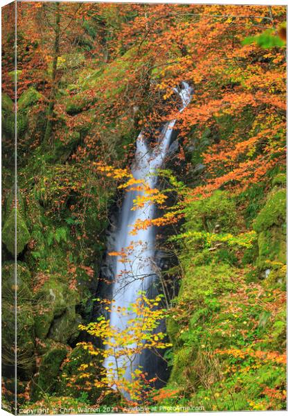 Stock Ghyll Force Waterfall Lake District in Autum Canvas Print by Chris Warren