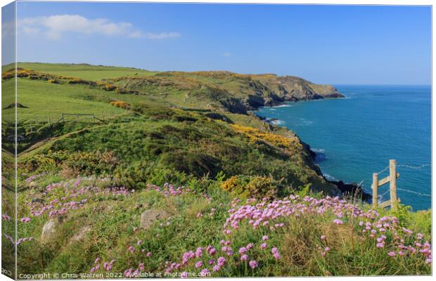 Spring Flowers on the coast path in Pembrokeshire Canvas Print by Chris Warren