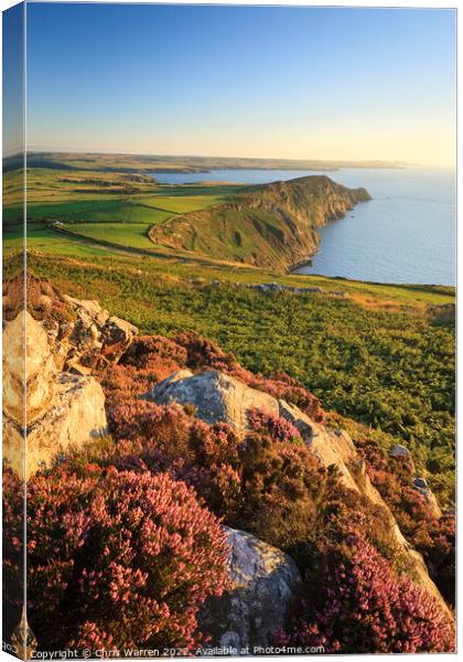 Over looking Penbwchdy nr Strumble Head in the eve Canvas Print by Chris Warren