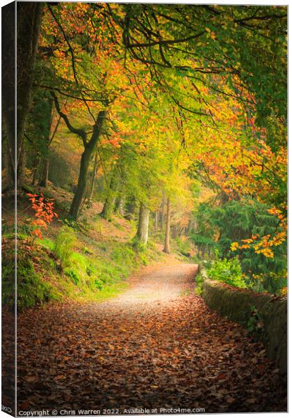 Autumn in Colby Woodland Gardens Canvas Print by Chris Warren