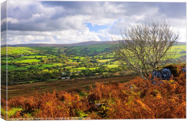 Carningli Mountain Preseli hills Pembrokeshire Canvas Print by Chris Warren