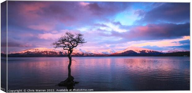 Loch Lomond Argyll and Bute Scotland at dawn Canvas Print by Chris Warren