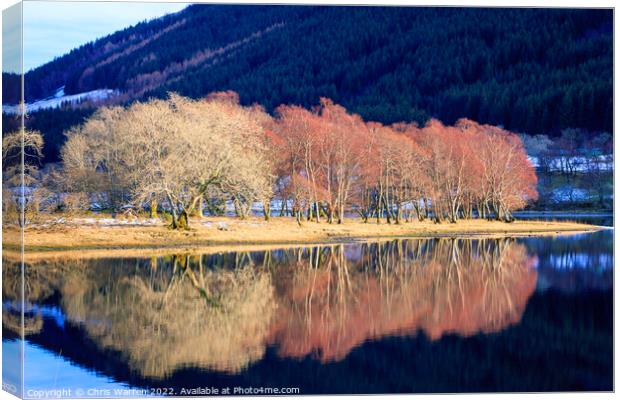 Loch Voil Stirling Scotland Canvas Print by Chris Warren