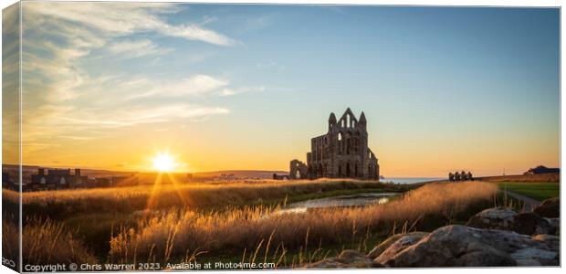 Whitby Abbey North Cliff Whitby North Yorkshire  Canvas Print by Chris Warren